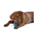 PETSTAGES ORKA Ball Piłka mała dla psa, niebiesko-mleczna [PS68499]