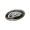 CESAR