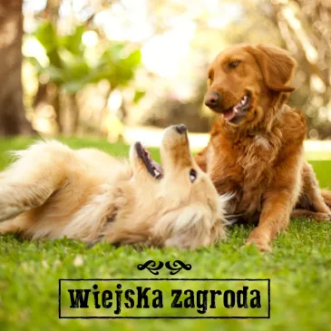 Przysmaki dla psa Monoproteinowe miękkie paski Jeleń 100g Wiejska Zagroda