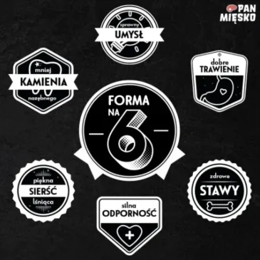 SUCHA KARMA DLA PSA PAN MIĘSKO Z ZIOŁAMI WOŁOWINA I TUŃCZYK ALERGIA S 3KG
