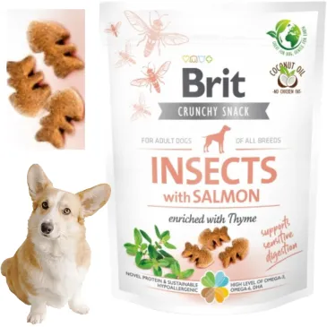 PRZYSMAKI DLA PSA Brit Care Dog Crunchy Cracker owady łosoś tymianek 200g