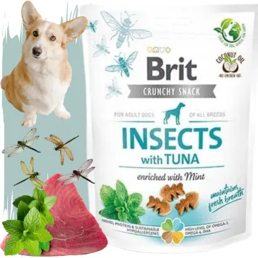 Przysmaki dla psa owady tuńczyk z miętą Brit Care Dog Crunchy Cracker 200g