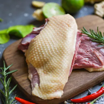 SUCHA KARMA DLA PSA INDYK Z KACZKĄ I ZIOŁAMI PAN MIĘSKO NA ALARGIĘ M 3KG