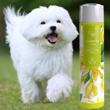 Szampon dla psów Aroma Wash KWIAT Ylang-Ylang Over Zoo PIELĘGNACJA NA STRES