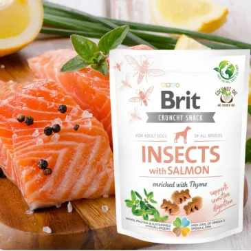 PRZYSMAKI DLA PSA Brit Care Dog Crunchy Cracker owady łosoś tymianek 200g