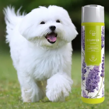 Szampon dla psów Aroma Wash Lawendowy Over Zoo pielęgnacja i aromaterapia