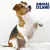 MOKRA KARMA DLA PSA INDYK KRÓLIK 400g ANIMAL ISLAND EVERYDAY BEZZBOŻOWA